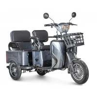 Электротрицикл Rutrike Gelbert Tuban 48V/60V 600Вт Серый
